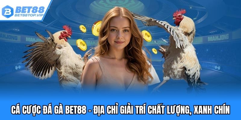 Cá cược đá gà