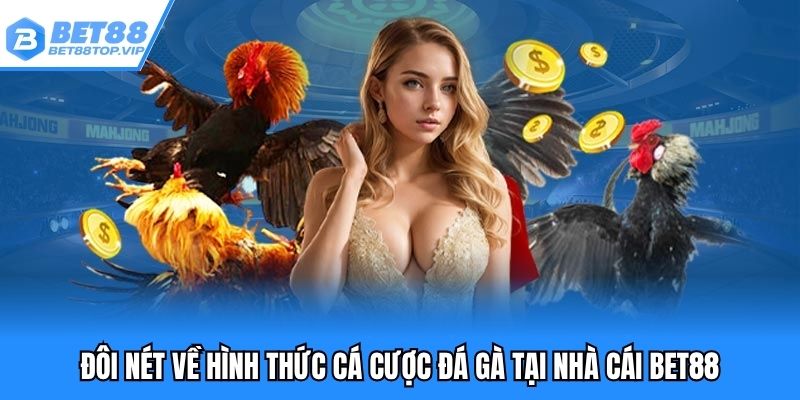 Đôi nét về hình thức cá cược đá gà tại nhà cái BET88