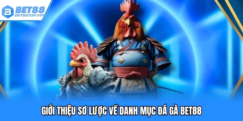 Giới thiệu sơ lược về danh mục đá gà BET88