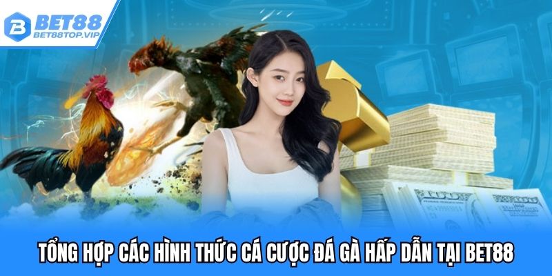 Tổng hợp các hình thức cá cược đá gà hấp dẫn tại BET88